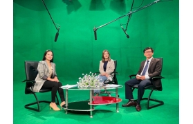 Cần tìm luật sư thu hồi nợ khó đòi cho công ty doanh nghiệp