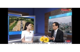 Phí dịch vụ ly hôn trọn gói cho việt kiều mỹ tại sài gòn thế nào?